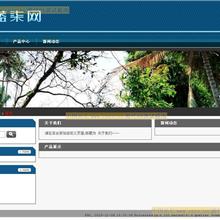 香水品牌销售公司网站模板-六神源码网