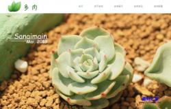 HTML5植物花卉公司响应式企业模板 - 网站模板 -六神源码网