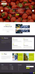 Harvest蔬菜水果种植公司响应式模板 - 网站模板 -六神源码网