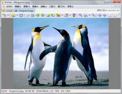 XnView 2.41 中文版 - 工具软件 -六神源码网