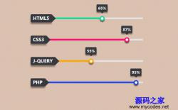 CSS3个人技能进度条样式代码 - HTML源码 -六神源码网