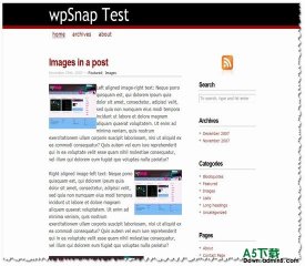 Wordpress CopyBlogger(年度最佳13) - 源码下载 -六神源码网