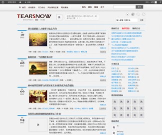 WordPress SEO主题TearSnow Fan V1.8 - 源码下载 -六神源码网