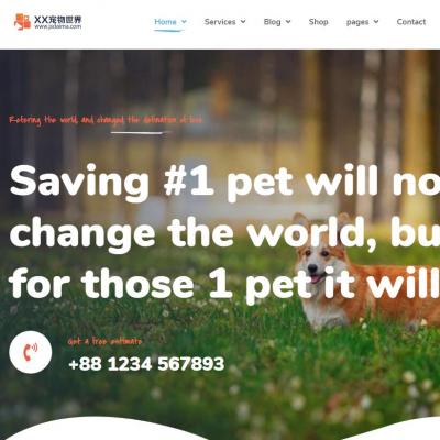 HTML5创意猫狗宠物世界狗粮购买日常护理响应式网站模板-六神源码网