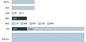 常用单选复选表单提交js特效代码-六神源码网