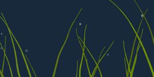原生js Canvas模拟绘制深水海底动态水草HTML5特效动画-六神源码网