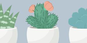 HTML5 SVG绘制植物盆栽特效动画代码-六神源码网