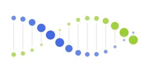 Vue实现动态螺旋DNA动画CSS3特效-六神源码网