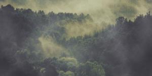 纯CSS实现早晨森林薄雾笼罩特效动画-六神源码网