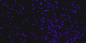 蓝色弹珠粒子急速聚集分散跟随鼠标轨迹晃动canvas动画-六神源码网