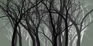 动态树苗生长成林canvas特效背景动画-六神源码网